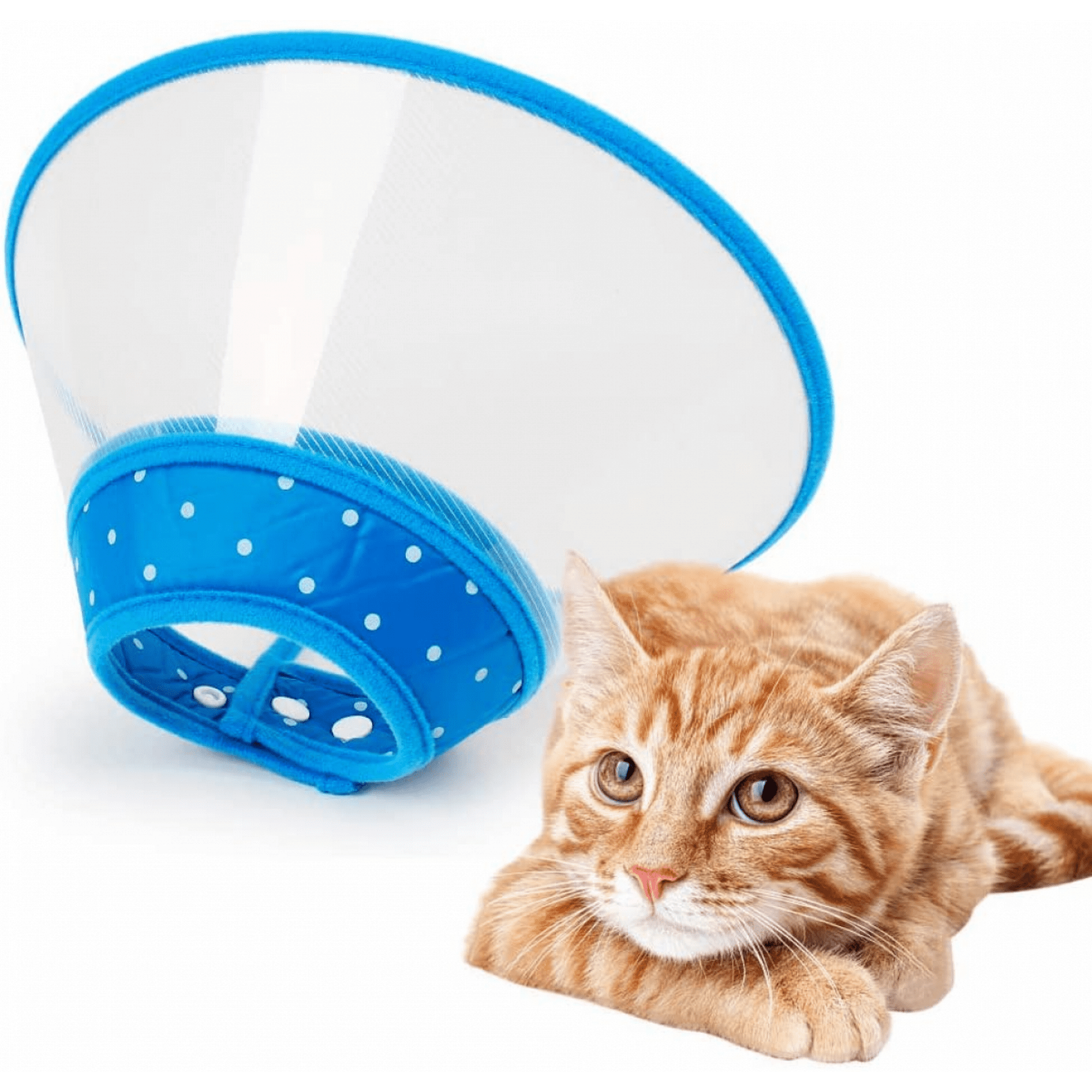 Aveki Cone Recovery Dog Cone Adjustable Dog Collar Clear Padded Collar With Breathable Soft Edge Plastic Puppy Cone Protect The Neck Surgery Recovery