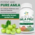 thumbnail image 3 of Suplemento orgánico Aura AMLA en cápsulas de 1000 mg, 120 cápsulas vegetarianas, 3 of 9