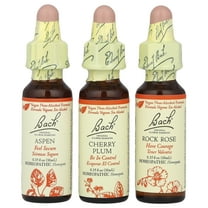 Bach Original Flower Remedies, Bravery Kit, Fear No More, 3 Droppers, 0.35 fl oz (10 ml) Each