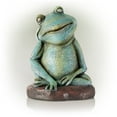 thumbnail image 5 of Alpine Corporation Pensative Sleeping Frog Statue, 15 Inch Tall, 5 of 12