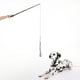 thumbnail image 3 of Extendable Dog Puppy Teaser Pole Wand Outdoor Interactive Pet Dog Flirt Pole Training Exerc Eccomum Polo, 3 of 7