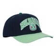 thumbnail image 4 of Pokémon Bulbasaur 001 Blue Brim Snapback Hat, 4 of 5