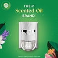 thumbnail image 2 of Recambio de aceite perfumado Air Wick Plug In Air Wick de 7 ml, paquete de 7, 2 of 8