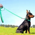 thumbnail image 4 of LAICAIW 4FT Reflective Dog Leash with Soft Padded Handle for Training,Walking Lead for Medium & Small Dogs,3/4 Inch Wide,Turouoise, 4 of 7
