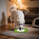 thumbnail image 4 of Comedero Lento Para Perros Almohadilla De Silicona Para Que Los Perros Laman Dispensador Para Cachorros Y Gatos Que Evita La Ansiedad Y El Desorden Seaflex Feast Mat – Comedero Lento Fomenta El, 4 of 5