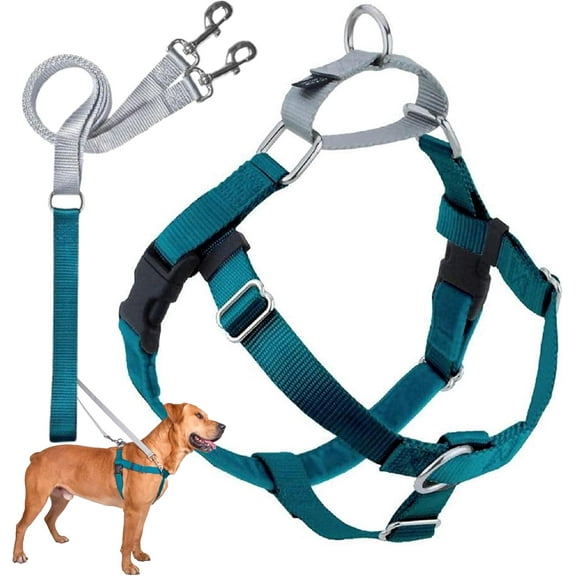 2 Hounds Design Freedom No-Pull Dog Harness Training Package with Leash, Teal Medium (1" wide)