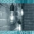 thumbnail image 5 of Luxrite LED Edison Bulb 75W Equivalent ST19 ST58 5000K Bright White 800 Lumens Dimmable 8W Damp Rated UL E26 6 Pack, 5 of 7