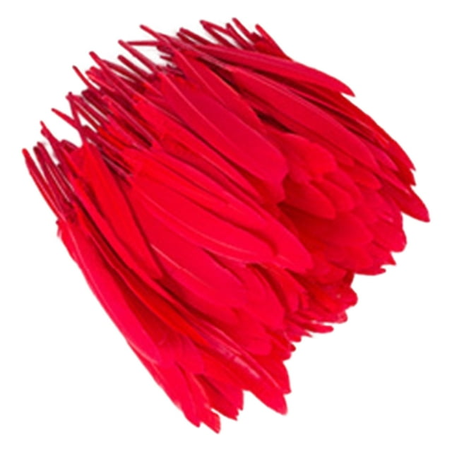 Youkk 100pcs/set Tear-resistant And Wear-resistant Feathers For DIY Crafts Feathers DIY Accessories Red 1Set