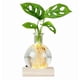 thumbnail image 2 of Jarrón, florero hidropónico LED, terrario hidropónico de escritorio para plantas, maceta redonda de vidrio con base de madera iluminada e impermeable., 2 of 8