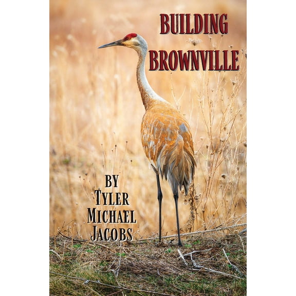Building Brownville (Paperback)