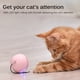 thumbnail image 3 of Juguete Interactivo Inteligente Para Gatos Bola Autogiratoria Led Colorida Con Campana De Hierba Gatera Y Juguetes De Plumas Eigraketly PT001552-02, 3 of 6