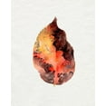 thumbnail image 2 of Parker, Jennifer Paxton 20x24 Black Ornate Wood Framed with Double Matting Museum Art Print Titled - Watercolor Autumn Leaf I, 2 of 4
