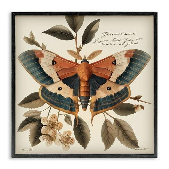 Stupell Industries Enchanting Moth & Plant Animals Painting Black Framed Art Print Wall Art, 12 x 12