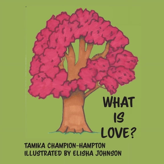 Kamden Faith Journey What Is Love?, Book 3, (Paperback)