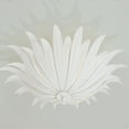 thumbnail image 5 of Capital Lighting - Eden - 3 Light Semi-Flush Mount In Bohemian Style-8.5 Inches, 5 of 7