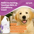 thumbnail image 2 of Spray para tratamiento de la piel de perros Epi-Pet 3,8 L lavanda, 2 of 8