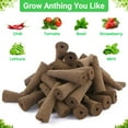thumbnail image 5 of CityFarmer 50 Pack Grow Sponges, Seed Pods Replacement Root Growth Sponges, Seedling Starter Sponges Kit Refill Grow Sponge for Hydroponic Indoor Garden System, 5 of 11