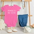 thumbnail image 3 of Promoted Big Sister Expecting Sibling Bodysuit Jumper Girls Infant Baby Brisco Brands NB, 3 of 6