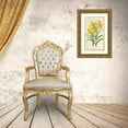 thumbnail image 3 of Charles Antoine Lemaire 17x24 Gold Ornate Framed and Double Matted Museum Art Print Titled - Lily Leichtlinii (1854-1896), 3 of 4