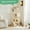 Beige, variant on JIOABL 54-Inch Cat Tree Tower - Multi-Level Cat Tower with Large Condo, Natural Sisal Scratching Post, Climbing Ladder, Light Grey