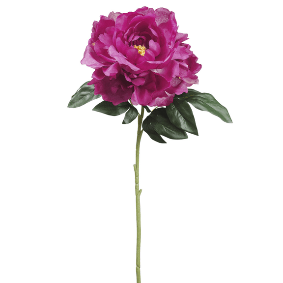 Park Place - 12 Piece Peony Stem 23"