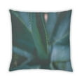 thumbnail image 2 of Ahgly Company Coussin Décoratif d'Intérieur à Motif de Plantes et de Feuilles, 18 Po X 18 Po, 2 of 6