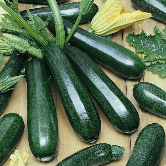 HIGHGW Graines de Courgette Beauté Noire 60 Graines Patrimoniales Courge d'Été Non OGM Rendement Élevé Graines de Légumes de Jardin pour la Plantation Canada