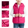 thumbnail image 4 of Kids Quilted Hooded Vest Lightweight Boys Girls Zipper Warm Sleeveless Jackets Children's Casual Padded Outwear Gilet Waistcoat 3Y, 4 of 9