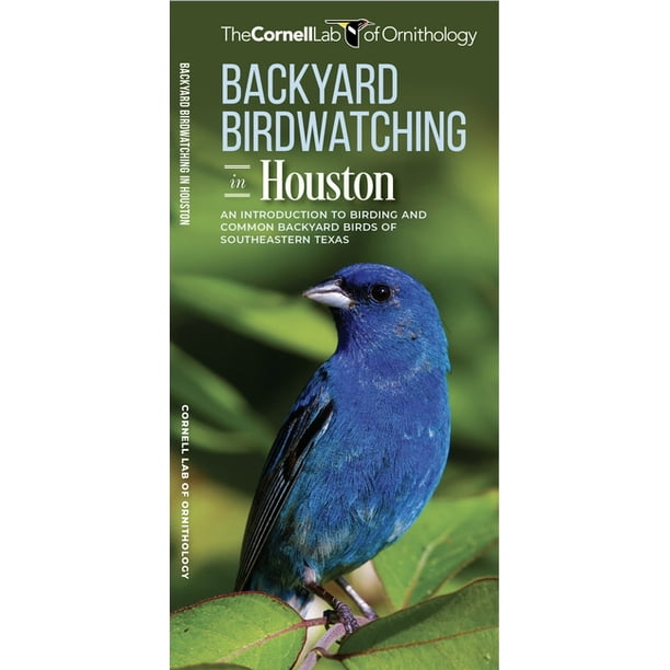All about Birds Pocket Guide Backyard Birdwatching in Houston An