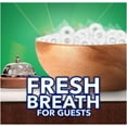 thumbnail image 3 of Lifesavers Wint-o-green Mints, 308 Pieces, Office Candy, Breathmints, Candy Dish, Bulk 2lbs. 9 oz. Bag, 3 of 7