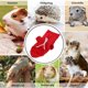 thumbnail image 4 of unbranded Ropa Decorativa Roja Para Conejos Y Mascotas Pequeñas Con Adorable Y Material, 4 of 6