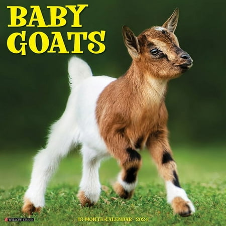 Baby Goats 2024 12 X 12 Wall Calendar (Other)