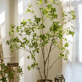 thumbnail image 2 of Artificial Japanese Enkianthus Tree, 2 of 10