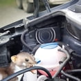 thumbnail image 6 of Ultrasonic Mouse Repellent, Under Hood Rodent Repeller Ultrasonic 12V Car Pest Repeller Squirrels, Pack Rat Deterrent for Cars Trucks RV Engine Bay Warehouse Attic with Evictor Strobe Light, 6 of 10