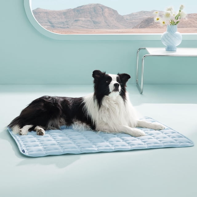 Colcha refrescante para perros grandes, 41 x 28 cm, lavable