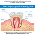 thumbnail image 2 of LANBENA Teeth Whitening Essence Cleaning Teeth Tea Stains Toothwash Oral Care 10ml, 2 of 5