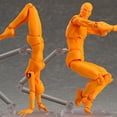 thumbnail image 4 of Tholdsy Juguetes modelo de cuerpo humano de PVC con exquisitos juguetes cognitivos científicos para niños, muñeca Kun, elección de regalo pinturas macho naranja, 4 of 6