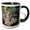 Black/White, variant on 3drose, Cumberland Slider Turtle - Us43 Mpr0012 - Maresa Pryor, 11oz Two-tone Green Mug