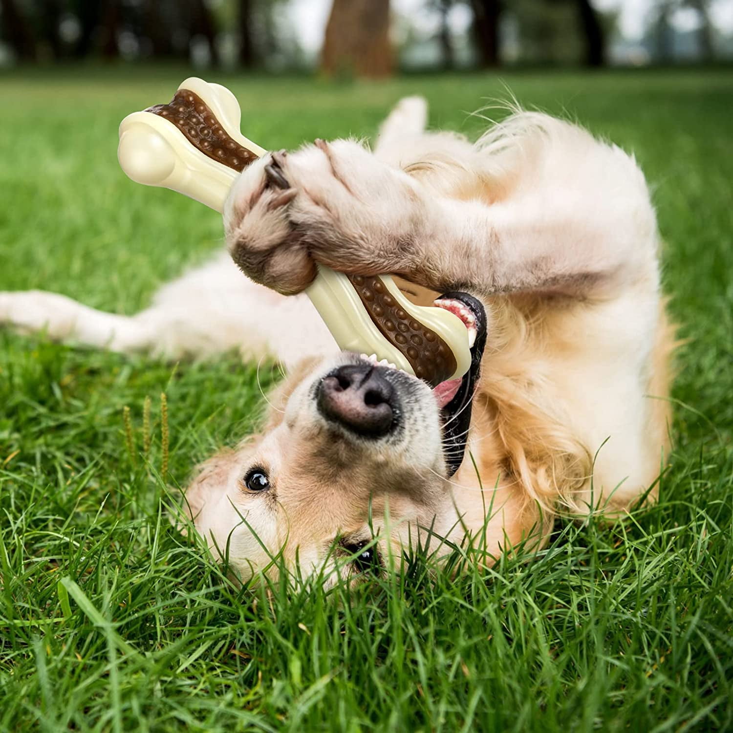 General Dog Toys for Aggressive Chewers Indestructible Nylon Dog Bones Beef Flavor Teething Chew Toys Bones for Large Puppies(Large, Medium)