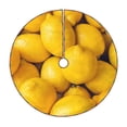 thumbnail image 1 of Lsque Ripe Yellow Lemon Print Christmas Tree Skirt with Ties and Velcro,Xmas Holiday Decorations, Adjustable Tree Skirt-36", 1 of 6
