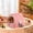 Pink, variant on Guinea Pig Hideout,Guinea Pig Bed,Rat House,Winter Warm Hamster Bed Small Animal Cage Accessories Bedding for Pig Ferret Squirrel Playing Sleeping,Brown,S