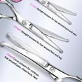 thumbnail image 3 of ZOUYUE Titanium Coated Professional 6 in 1 4CR Stainless Steel Dog Grooming Scissors with Safety Round Tip,Heavy Duty Pet Grooming Scissor for Dogs,Cats and Other Animals, 3 of 7