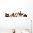 thumbnail image 1 of Cat and Dog Wall Mural by Wallmonkeys Peel and Stick Graphic (36 in W x 10 in H) WM120094, 1 of 4