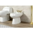 thumbnail image 2 of Kingston Brass KB327ACL American Classic Three-Handle Bidet Faucet, Brushed Brass, 2 of 5