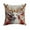 B, variant on Taotanxi Christmas Pillow Cover,18" L X 18" W Throw Pillow Cover, Merry Christmas Pillow Cover for Women Men, Ornaments Print Pillowcase, Xmas Decor Cushion Case B