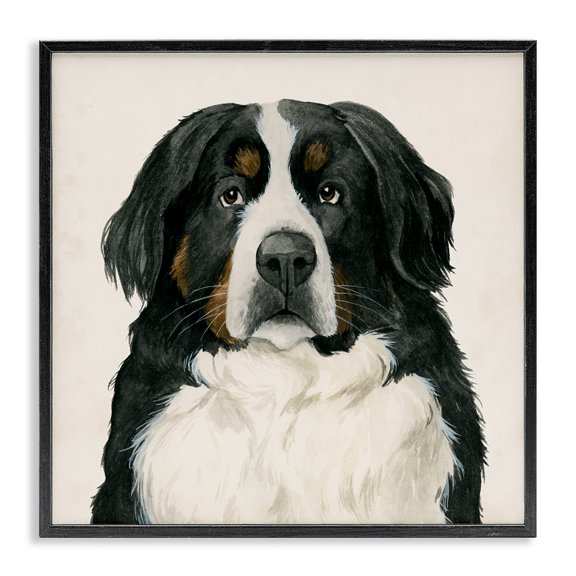 Stupell Industries Farmhouse Bernese Mountain Dog Portrait Black Framed Giclee Art, 12 x 12, by Grace Popp