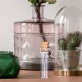 thumbnail image 4 of HEALEEP 24Pcs Small Glass Jars With Lids For Decoration And Storage Solutions, 4 of 8