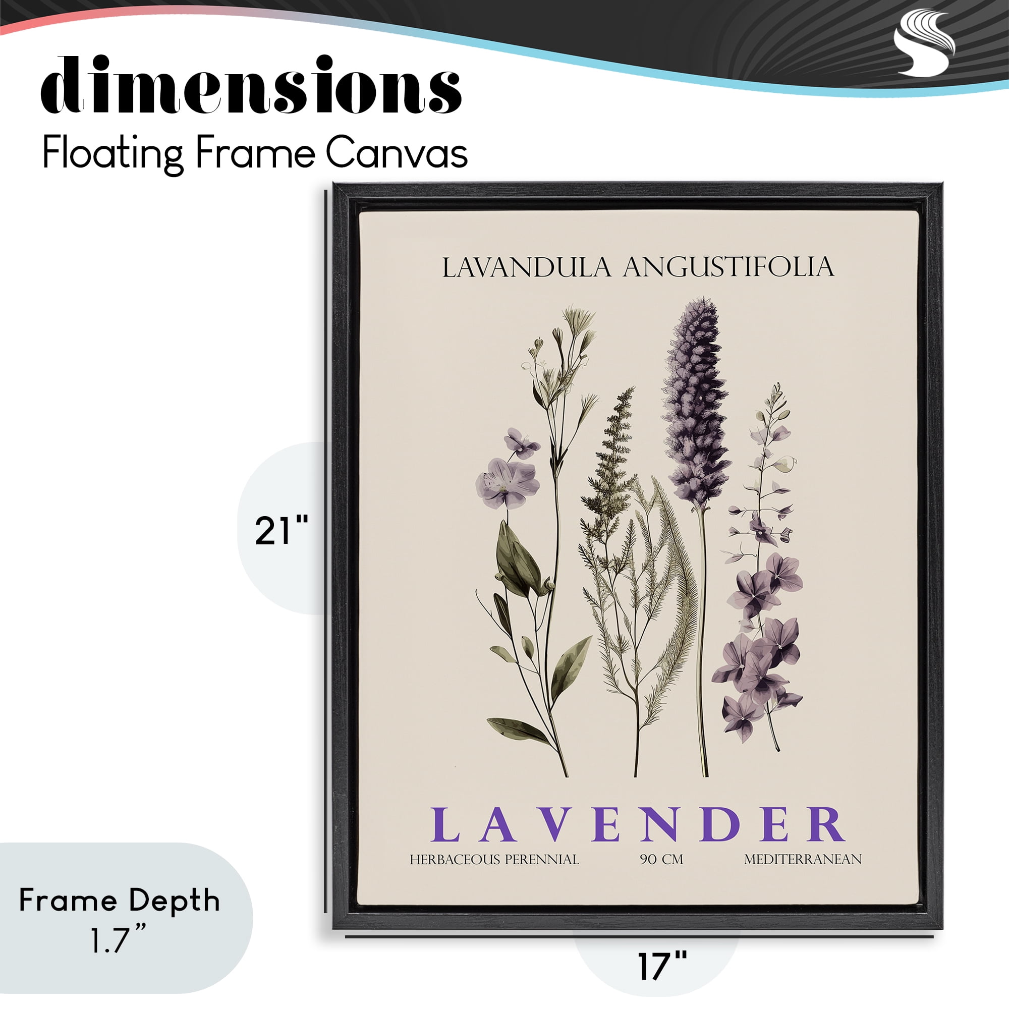 Stupell Industries Natural Lavender Bundle Black Framed Floater Canvas Wall Art, design by Christopher Giampietro