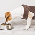 thumbnail image 4 of CRILSTYLEO Sin Para Perros Color Café Ropa Cálida Y Atractiva Para Mascotas, 4 of 8