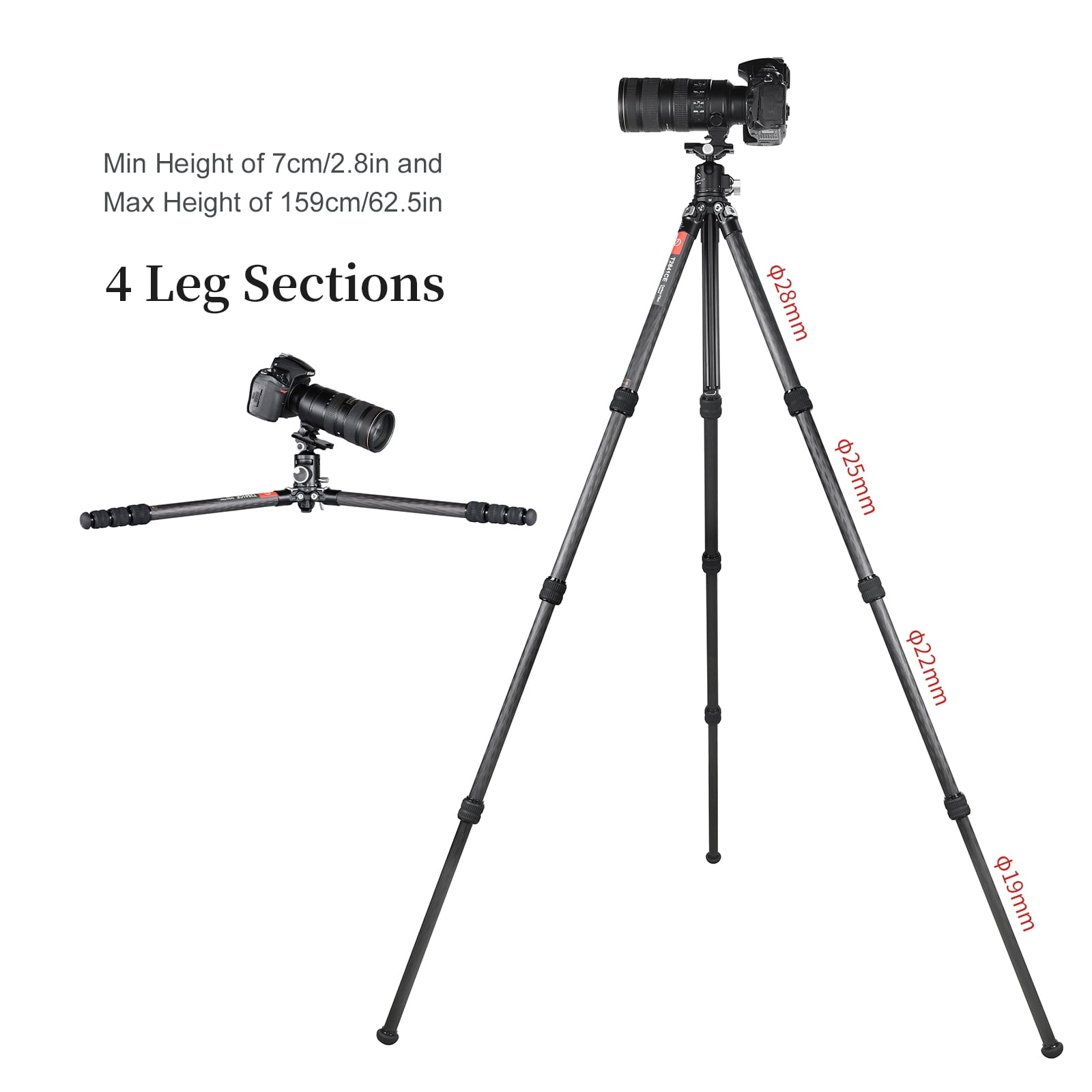 SUNWAYFOTO T2841CE Travel Tripod Carbon Fiber Compact Light Portable Professional Tripod Dslr Camera Waterproof,33.0lb Load